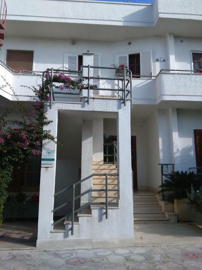Campi Salentina Agave Bed&Breakfast מראה חיצוני תמונה